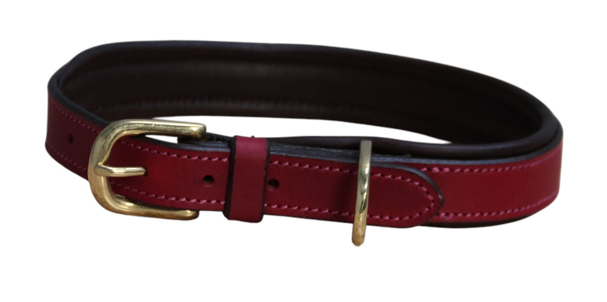 Mackey Padded Dog Collar & Leads