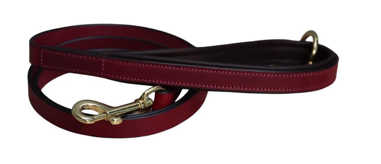 Mackey Padded Dog Collar & Leads