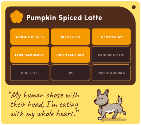 Soopa Pumpkin Spiced Latte Dog Treats