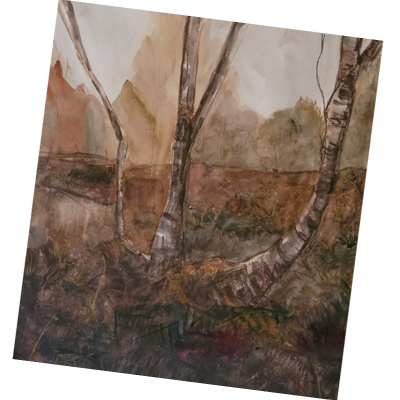 Alison McEvoy Gnarly Birch Greeting Card