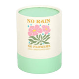 Something Different No Rain, No Flowers Citrus & Ginger Candle