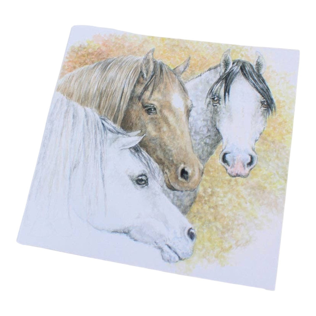 Grays 1922 Horse Head Blank Equestrian Horse Themed Card