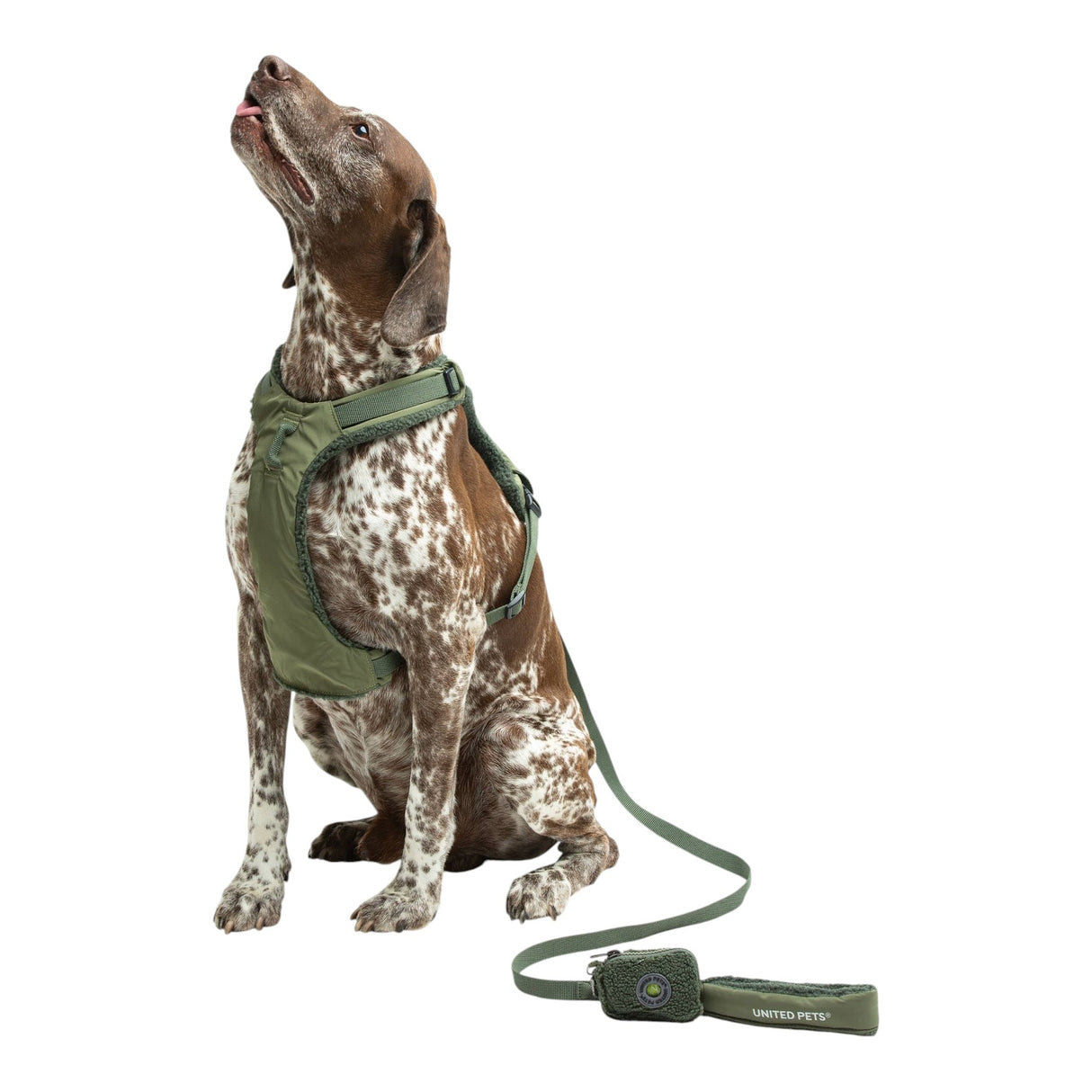 United Pets Soft Padded Dog Harness