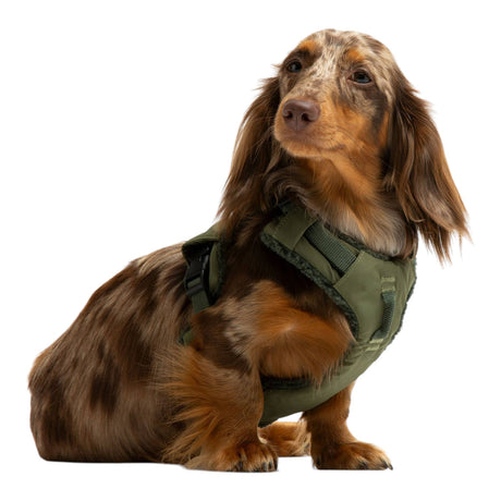 United Pets Soft Padded Dog Harness