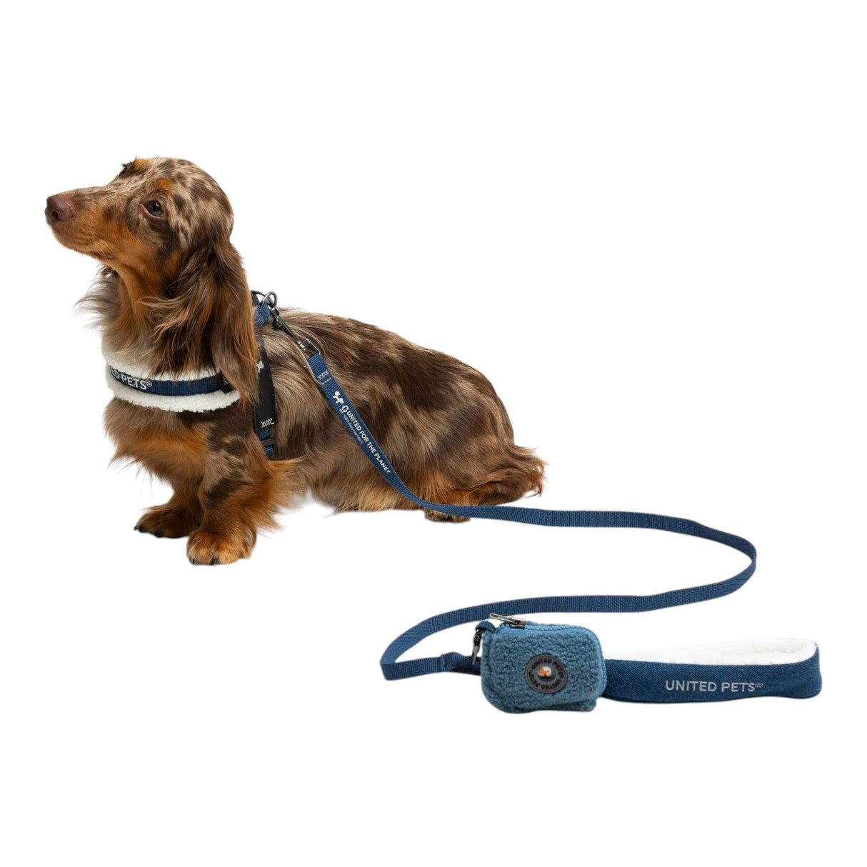 United Pets Soft Padded Dog Leash