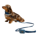 United Pets Soft Padded Dog Leash