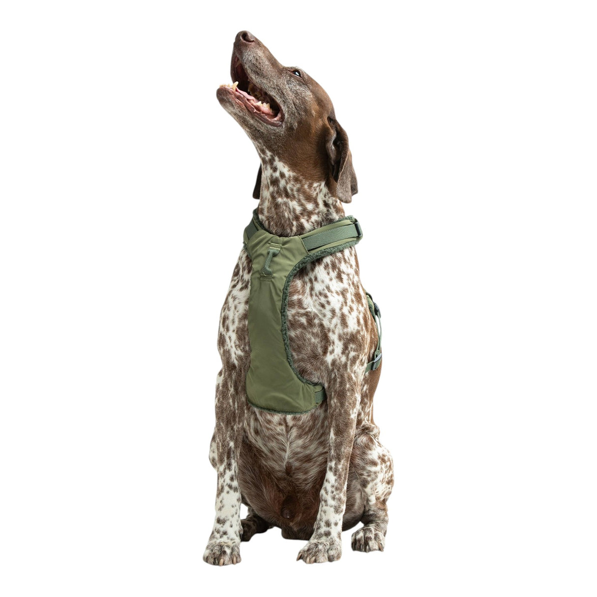 United Pets Soft Padded Dog Harness