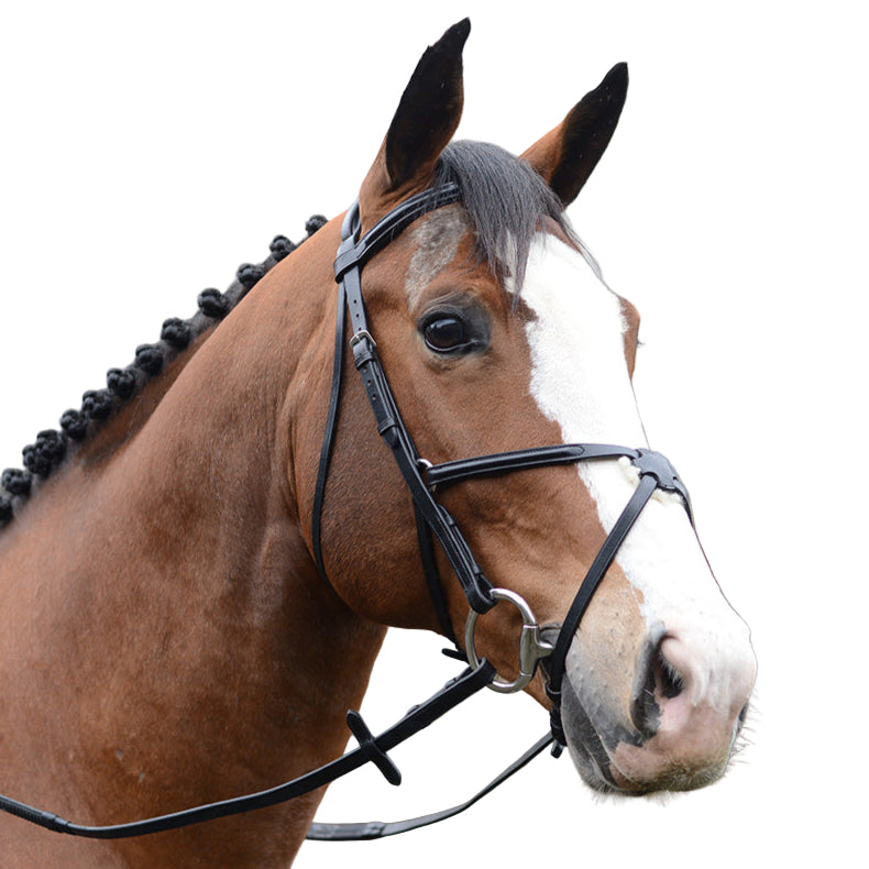 Mackey Classic Padded Mexican Bridle