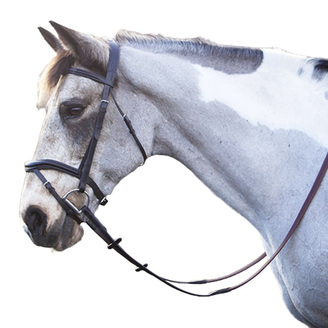 Mackey Legends Athena Bridle