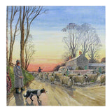 Grays 1922 Red Sky At Night Blank Vintage Theme Sheep Scene Card