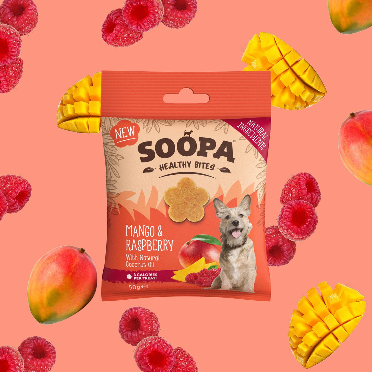 Soopa Mango & Raspberry Dog Treats