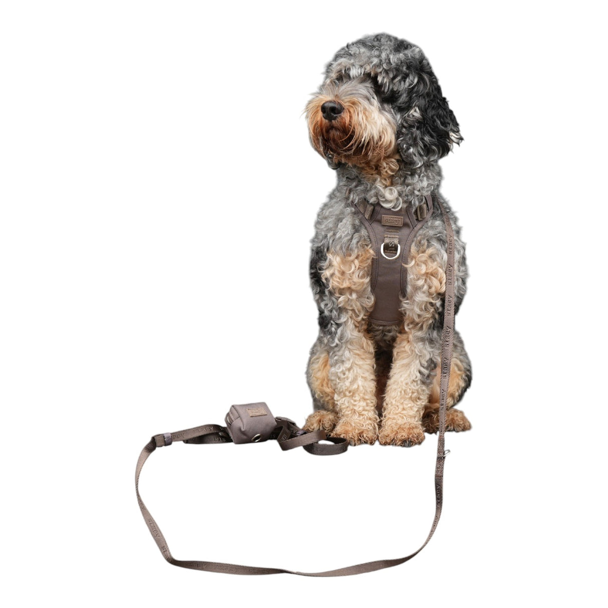 Staey Elma Active Dog Harness Sand