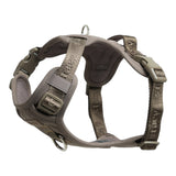 Staey Elma Active Dog Harness Sand