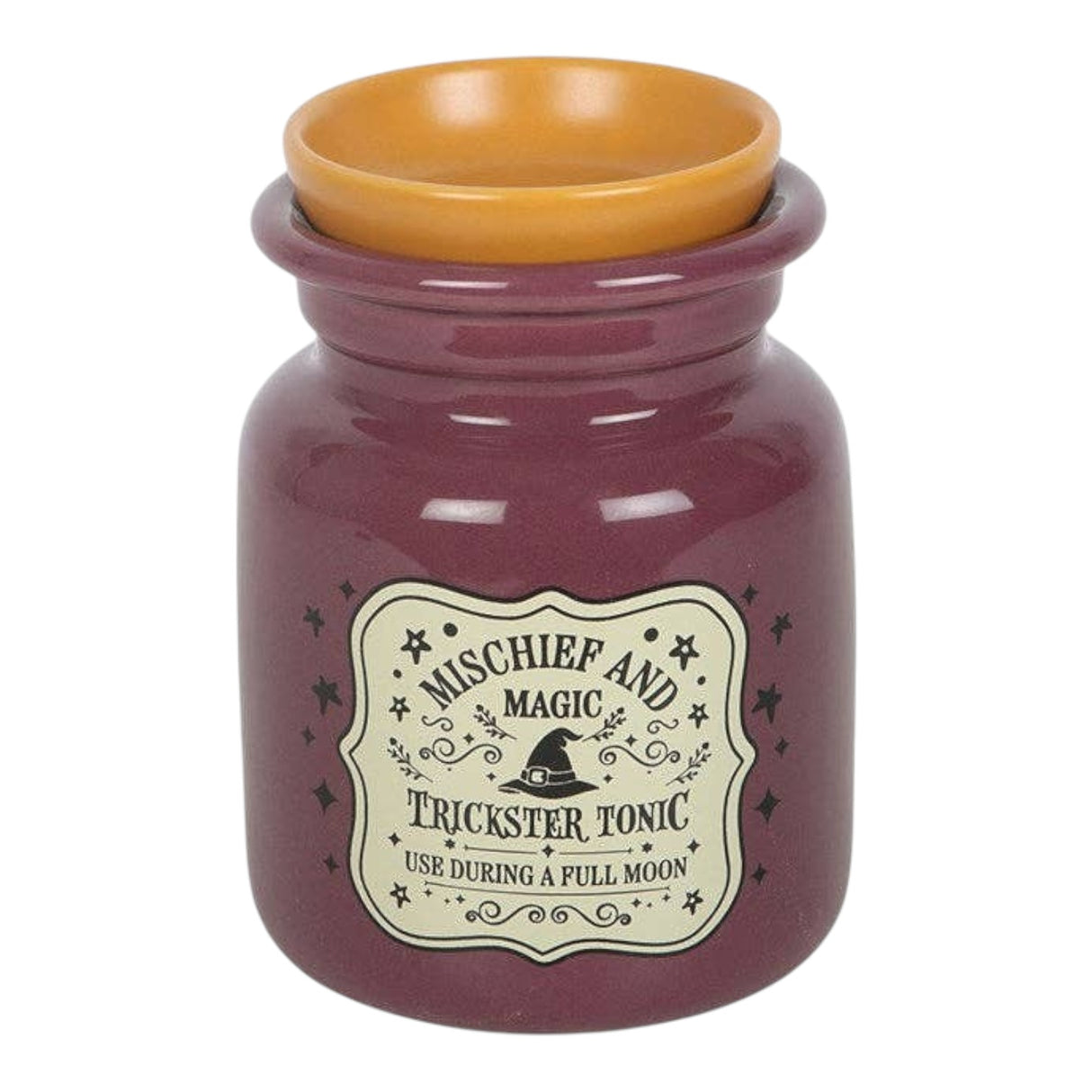 Something Different Mischief and Magic Potion Bottle Oil Burner and Wax Warmer