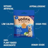 Soopa Apple & Blueberry Dog Treats