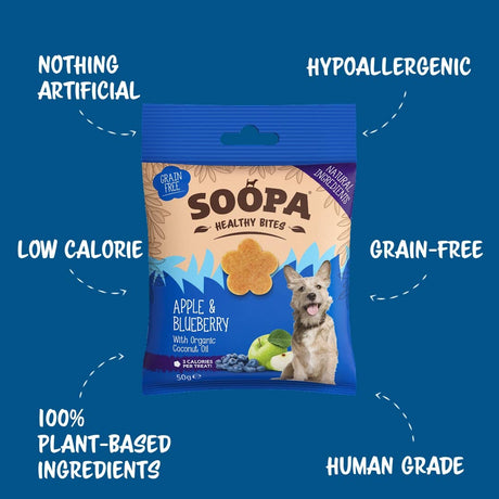 Apple & Blueberry Dog Treats