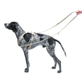 United Pets Durable Nylon Training Leash