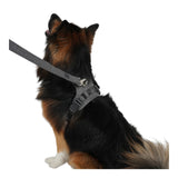 Staey Dog Leash Elma Dusty Blue