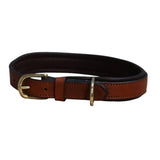Mackey Padded Dog Collar & Leads