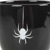 SD Black Spider Teacup