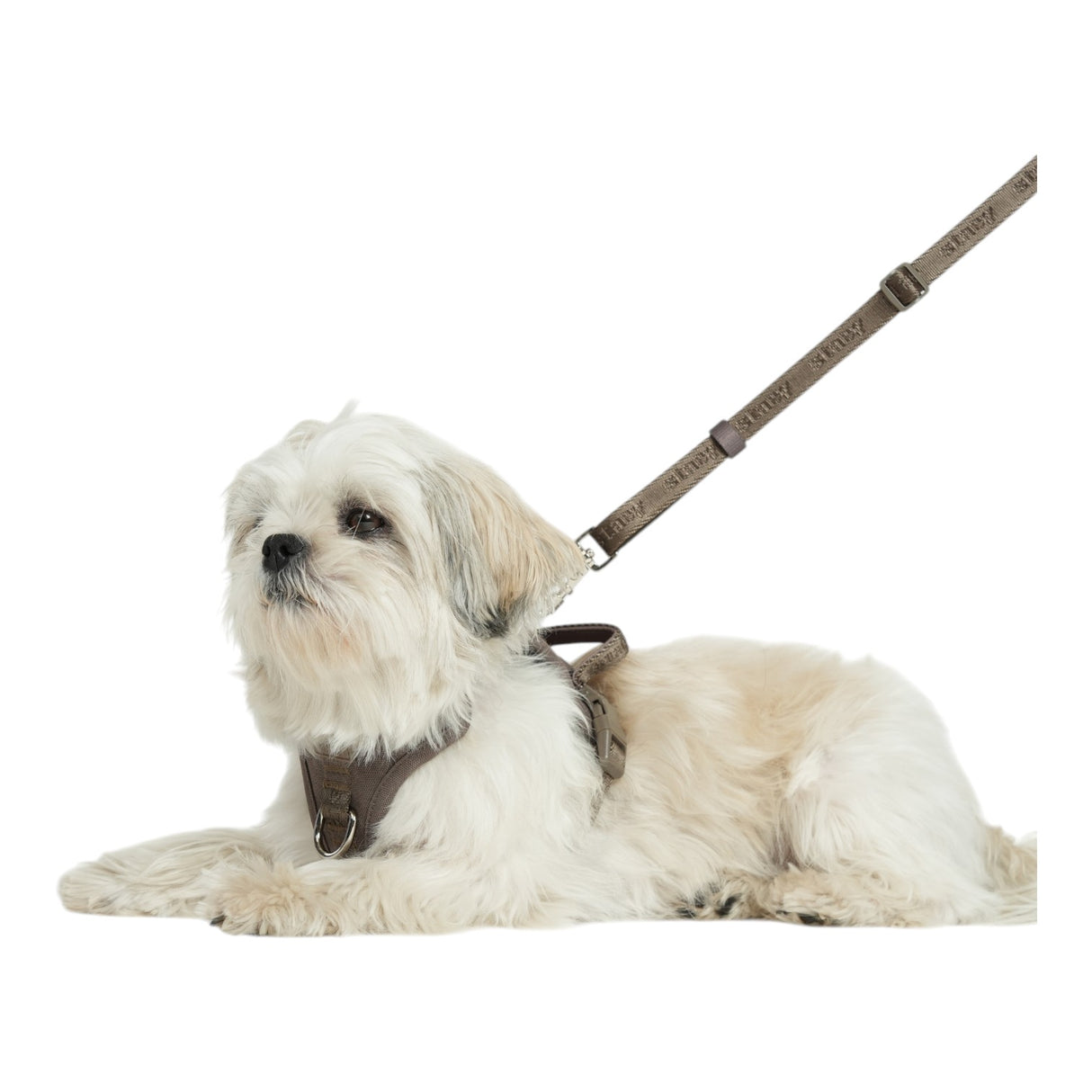 Staey Elma Active Dog Harness Sand
