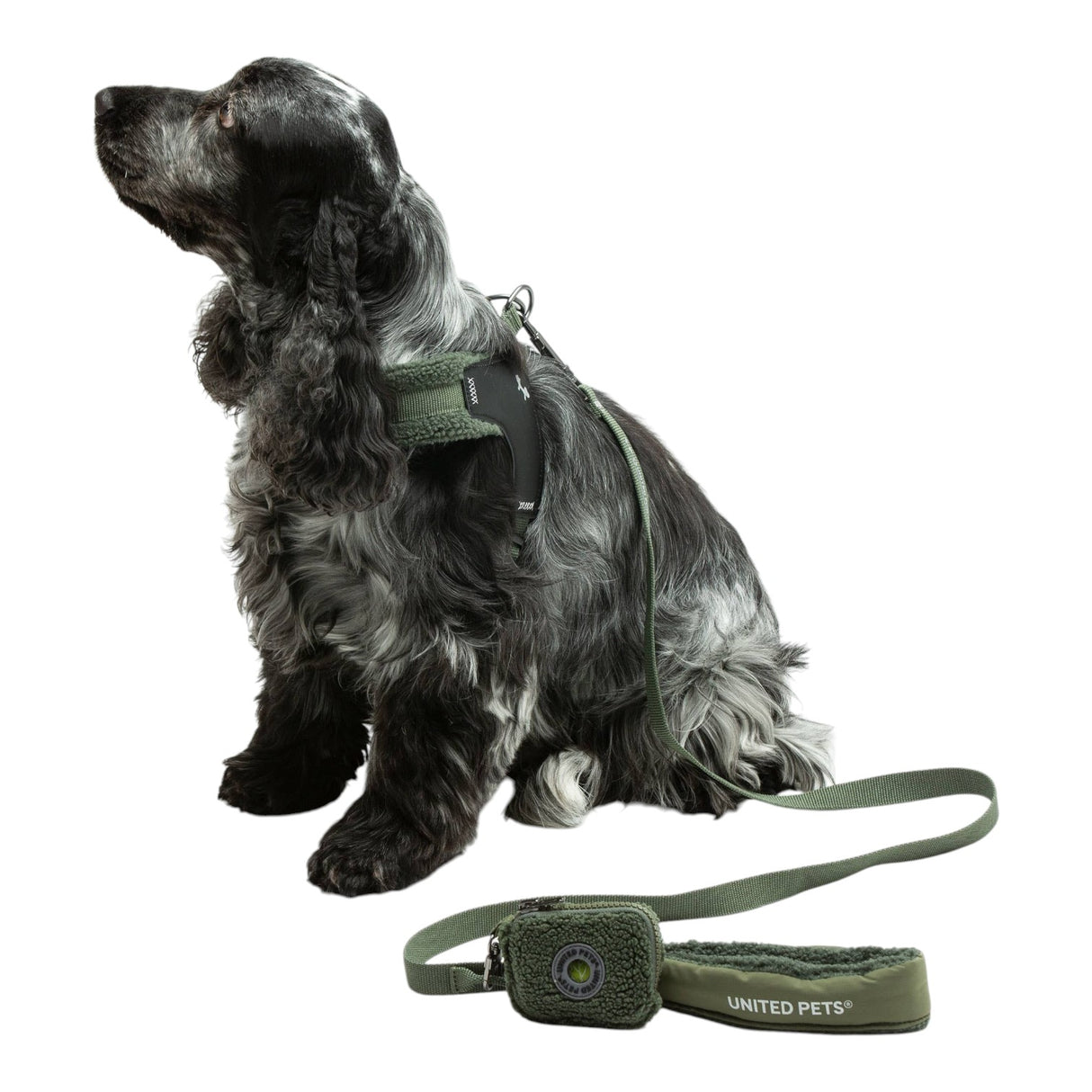 United Pets Soft Padded Dog Leash
