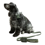 United Pets Soft Padded Dog Leash