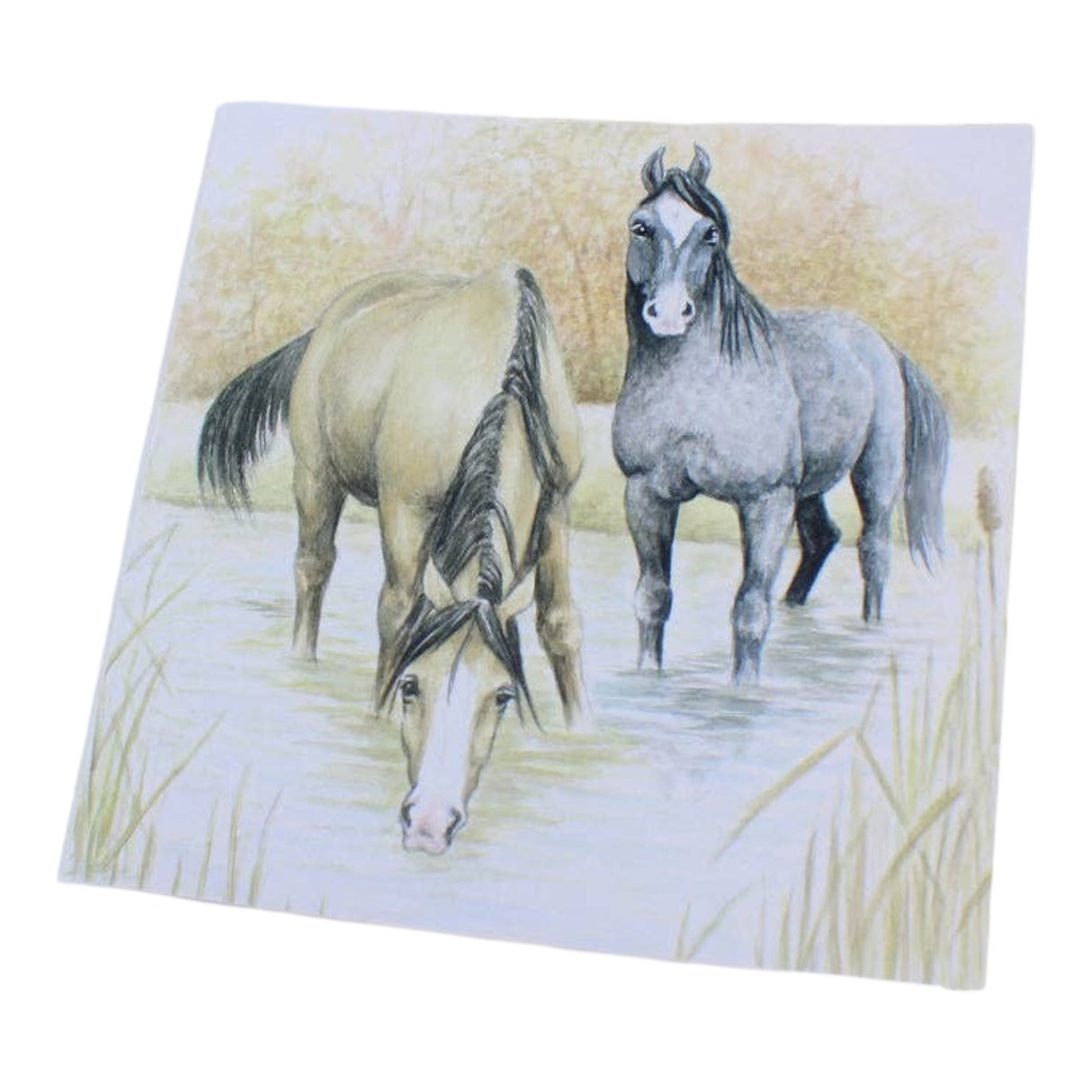 Grays 1922 Horses In Water Blank Equestrian Horse Themed Card