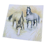 Grays 1922 Horses In Water Blank Equestrian Horse Themed Card
