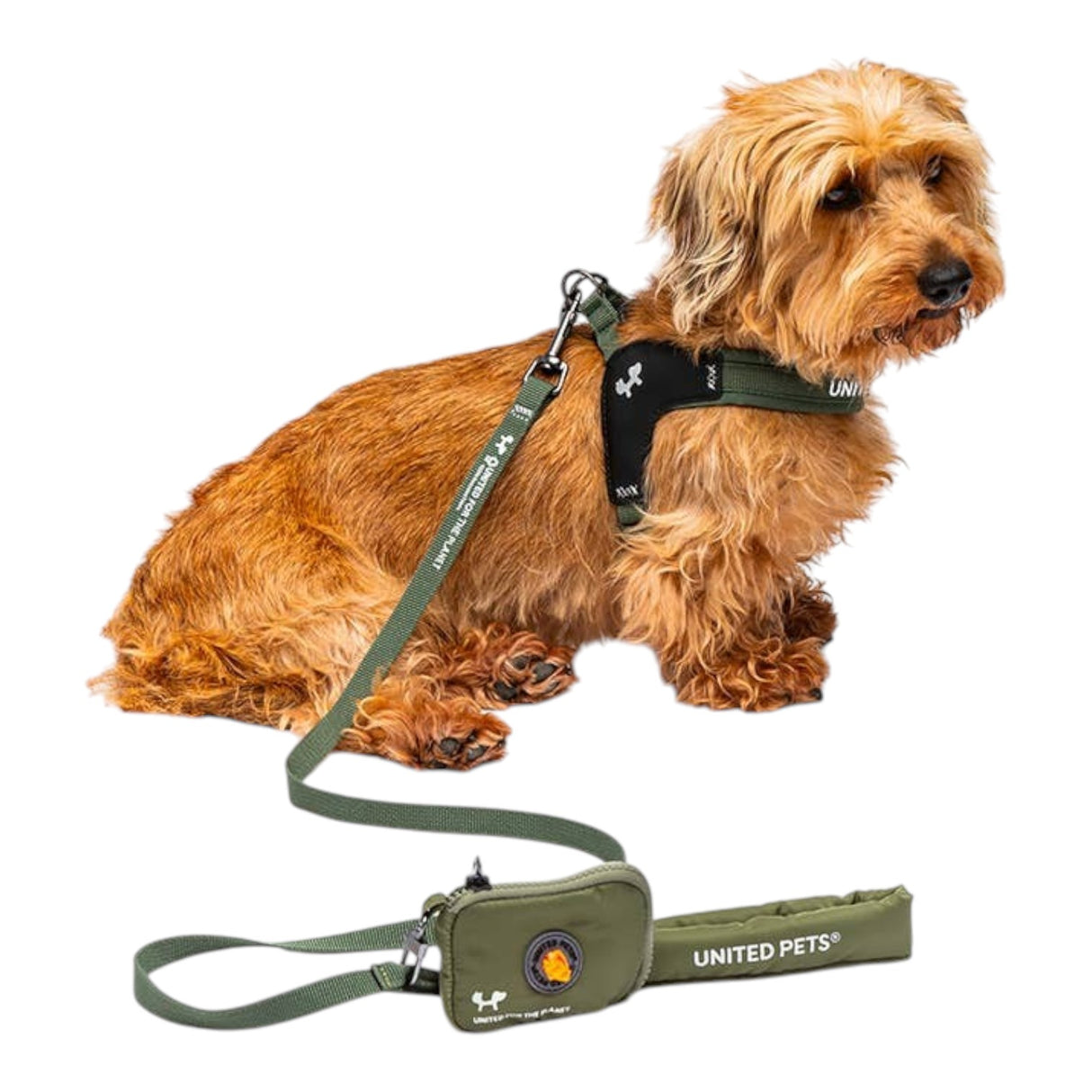 United Pets Padded Soft Leash