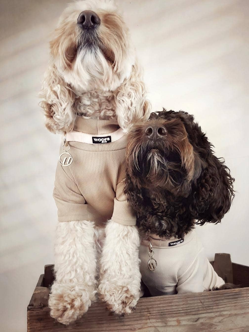 Collar with Charm- Dune