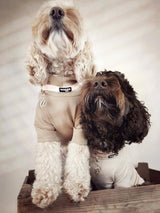 Collar with Charm- Dune