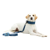United Pets Soft Padded Dog Leash