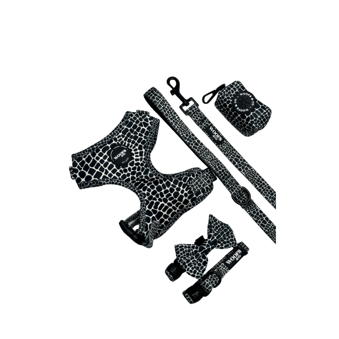 Leash - Snake Collection