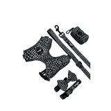 Leash - Snake Collection