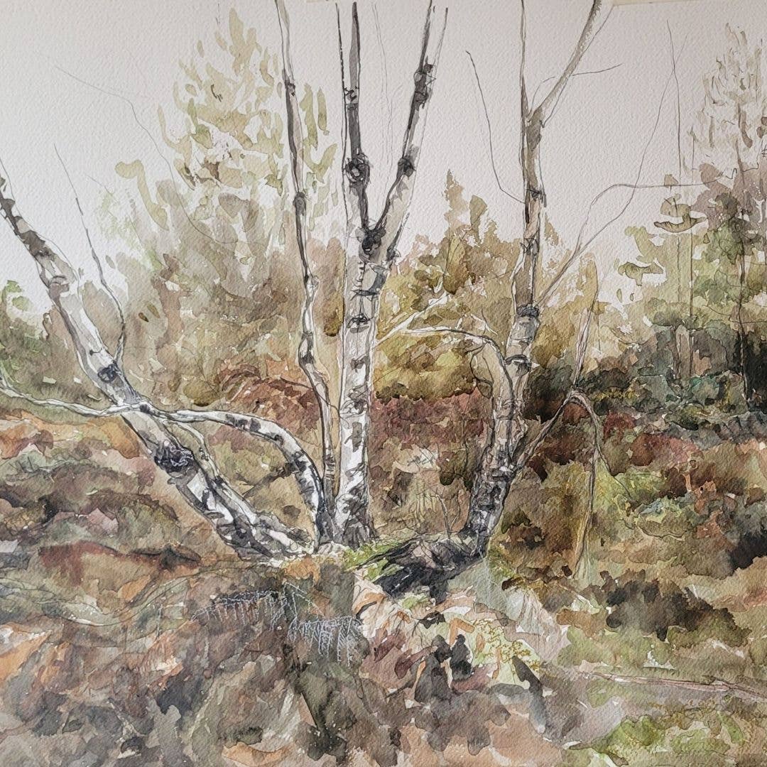 Alison McEvoy Rattlin' Bog Greeting Card