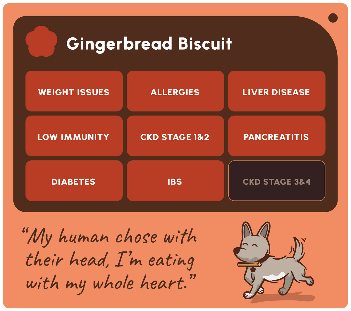 Soopa Gingerbread Biscuit Dog Treats