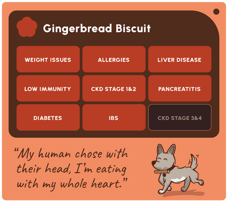 Soopa Gingerbread Biscuit Dog Treats