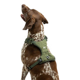 United Pets Soft Padded Dog Harness