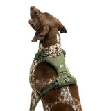 United Pets Soft Padded Dog Harness