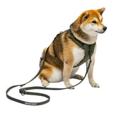 United Pets Durable Nylon Training Leash