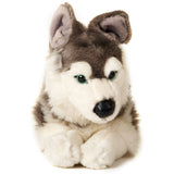 Uni Toys Husky 40cm Plush Toy