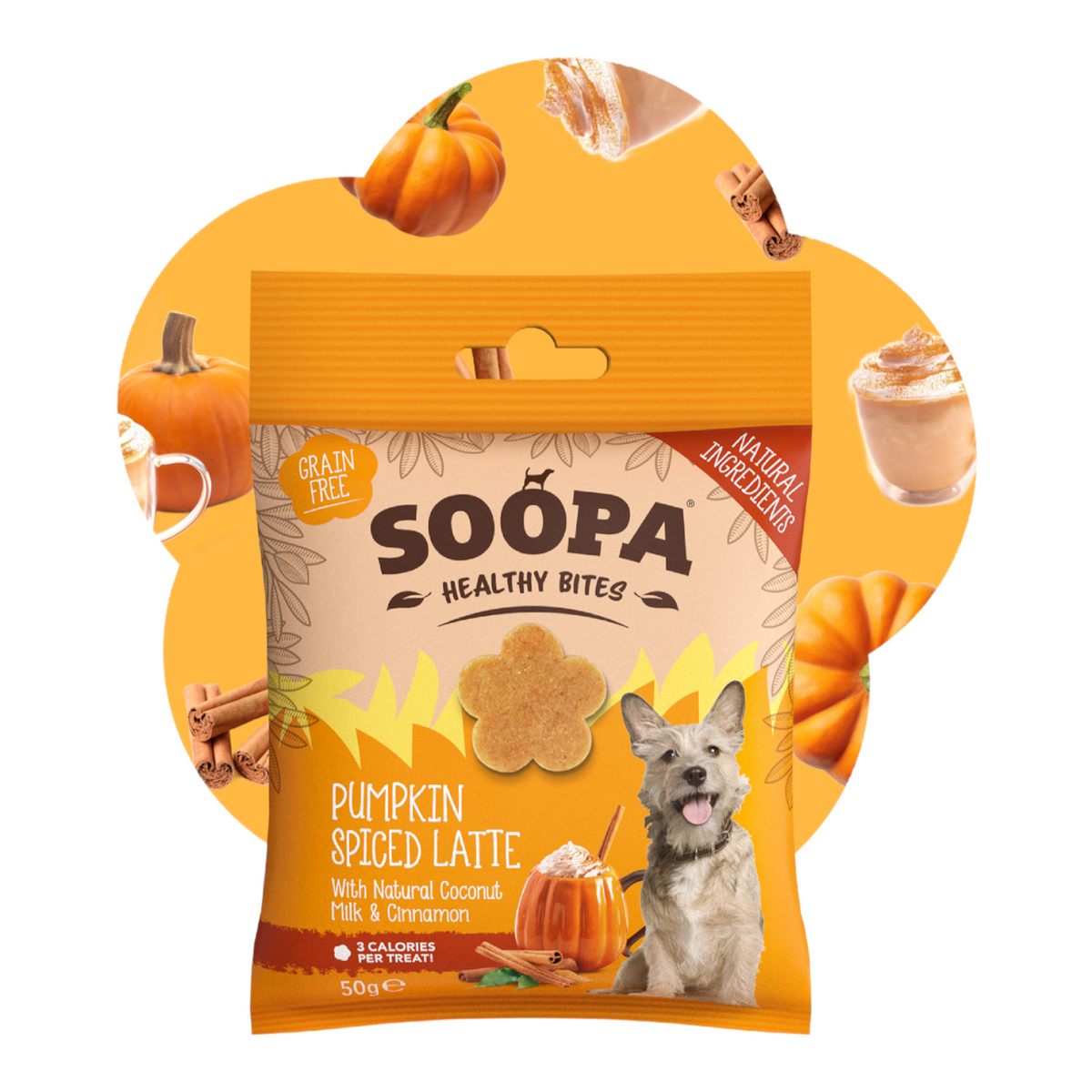Soopa Pumpkin Spiced Latte Dog Treats