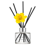 Cocodor Daffodil Diffuser Deep Musk 120ml