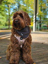 Step-In Harness - Dune - Step-In Hondentuigje - Beige