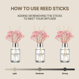 Cocodor April Breeze Reed Diffuser 100ml