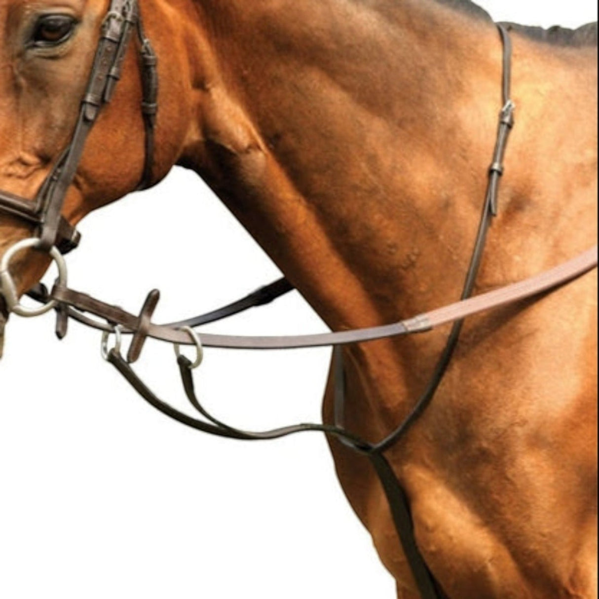 Mackey Running Martingale