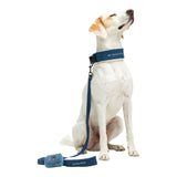 United Pets Soft Padded Dog Leash