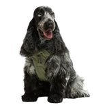 United Pets Soft Padded Dog Harness