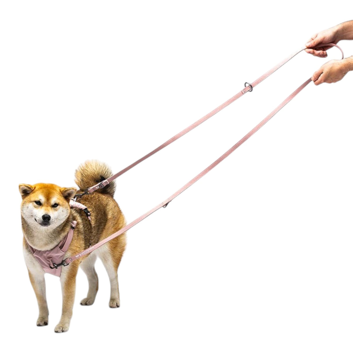 United Pets Durable Nylon Training Leash